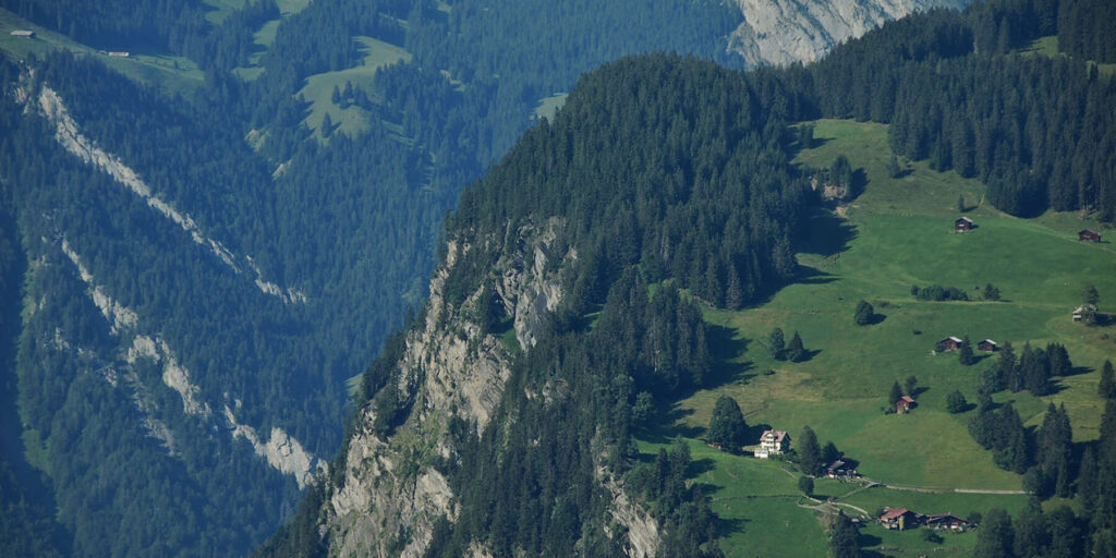 A mountain with trees and grass on it