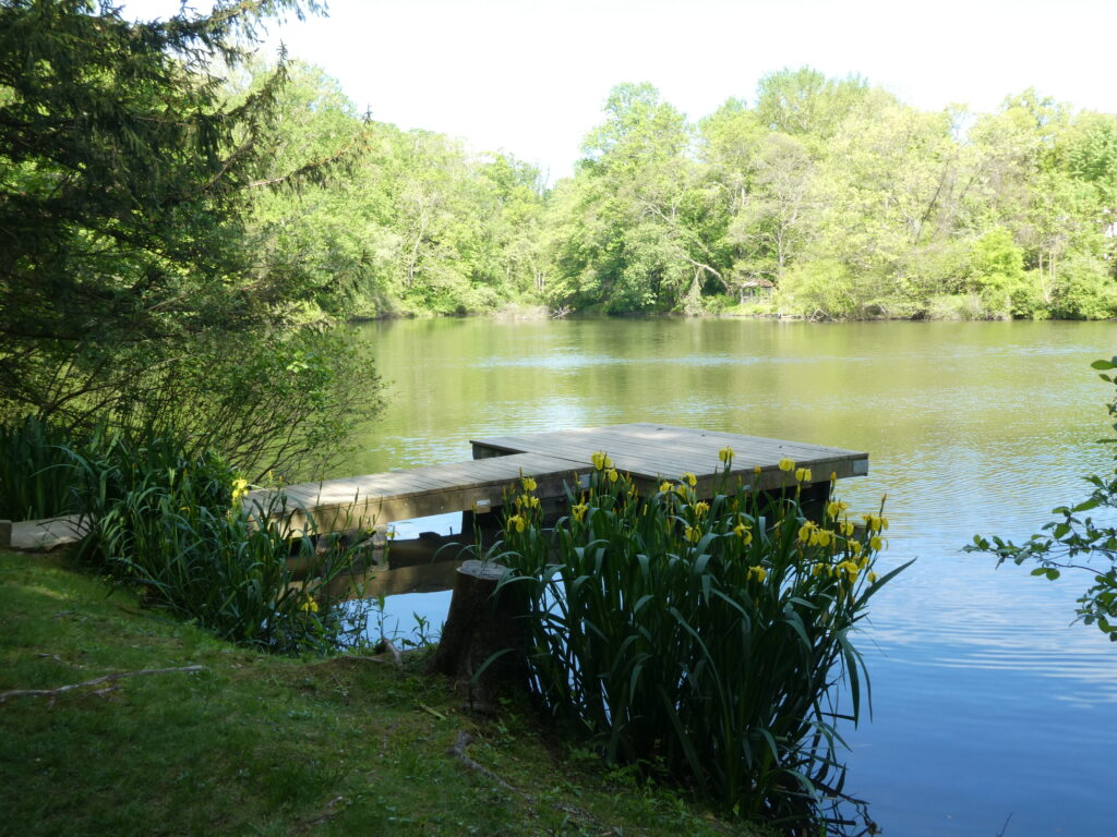 A dock on the water near some trees